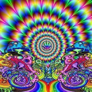 Meet your Posher, Kenneth